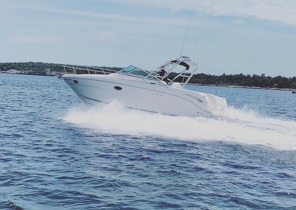 Sea-ray 290-AMBERJACK image