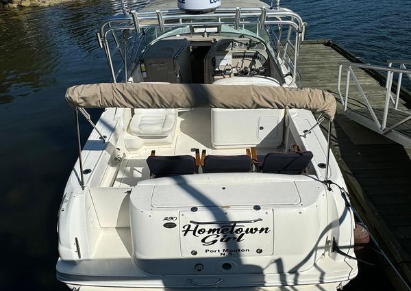 Sea-ray 290-AMBERJACK image