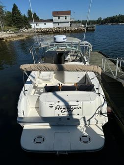 Sea-ray 290-AMBERJACK image