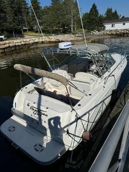 Sea-ray 290-AMBERJACK image