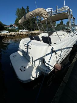 Sea-ray 290-AMBERJACK image