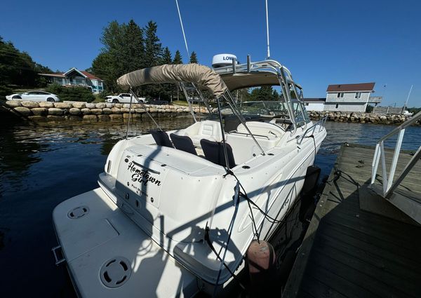 Sea-ray 290-AMBERJACK image