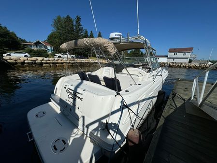 Sea-ray 290-AMBERJACK image