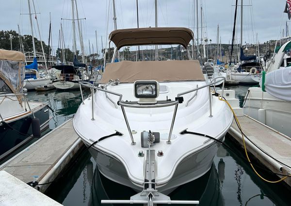 Sea Ray 260 Cabrio image