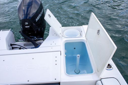 Robalo 226 Cayman image