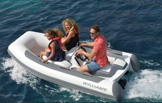 Williams Jet Tenders Minijet 280 image