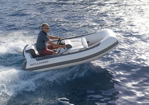 Williams Jet Tenders Minijet 280 image