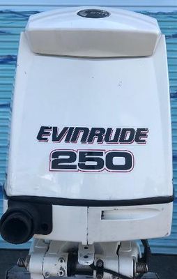 Evinrude E250DPXSDR - main image