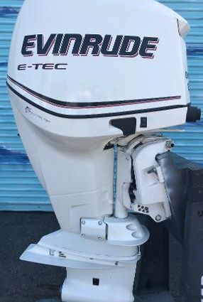 Evinrude E250DPXSDR image