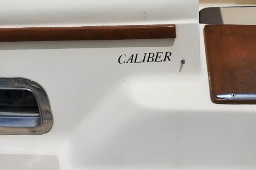 Caliber 35 image