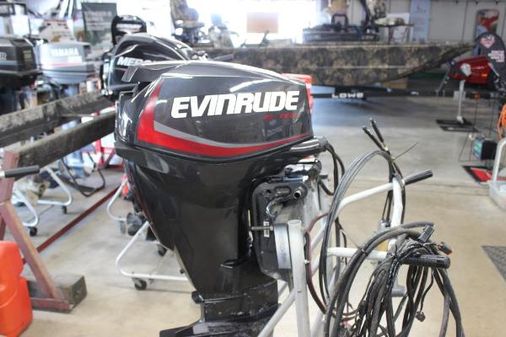 Evinrude E25DPGLAFD image