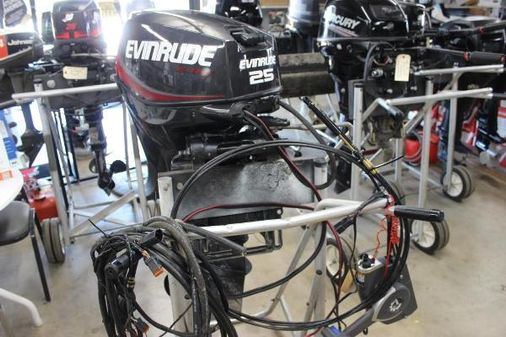 Evinrude E25DPGLAFD image