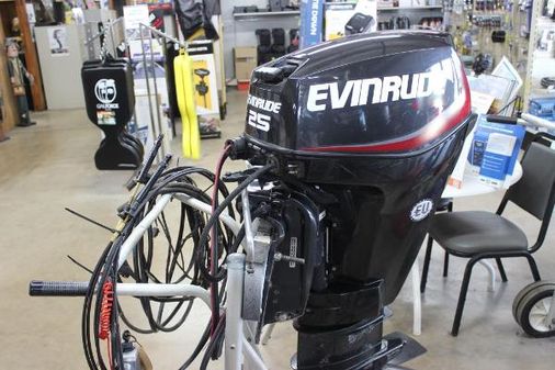 Evinrude E25DPGLAFD image