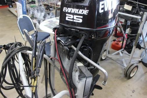 Evinrude E25DPGLAFD image