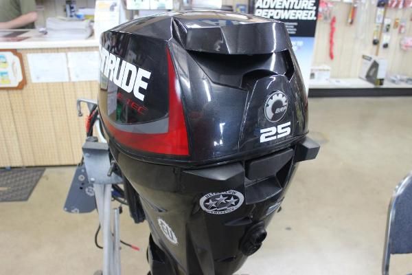 Evinrude E25DPGLAFD image