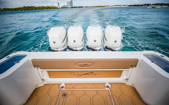 Blackwater 43 Sportfish image