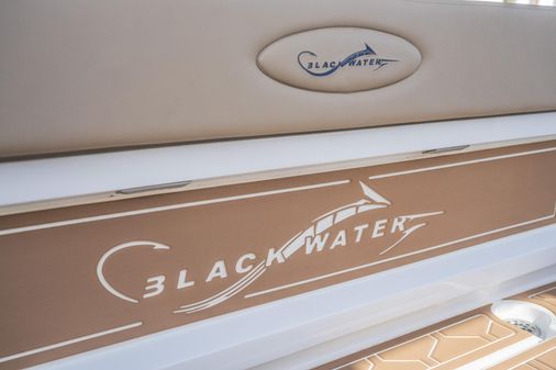 Blackwater 43 Sportfish image