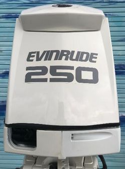 Evinrude E250CZINR image
