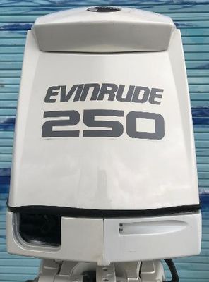 Evinrude E250CZINR - main image