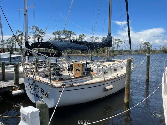 Island Packet 31 - main image