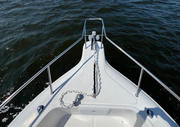 Sea-fox 237-CENTER-CONSOLE image