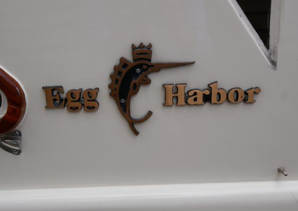 Egg-harbor 36-SEDAN-BRIDGE image