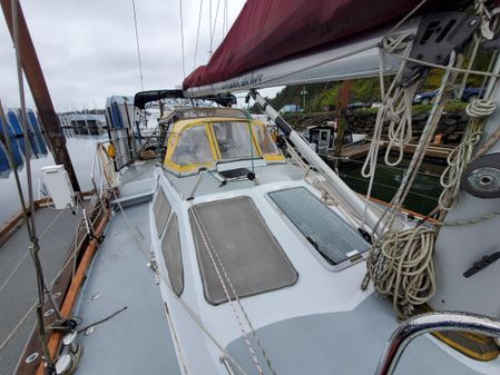 Bruce Roberts V495 image