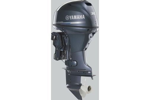 Yamaha Outboards F30 image