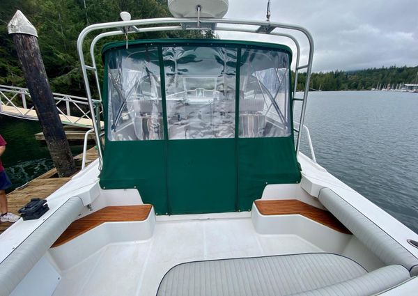 Mainship Pilot 34 Sedan image