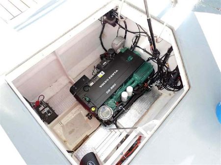 Custom Artisanal Power Catamaran image