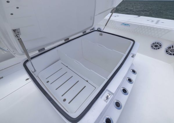 Invincible 37 Catamaran image