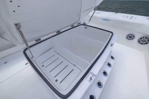 Invincible 37 Catamaran image