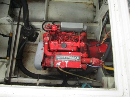 Bayliner 4588 Motoryacht image