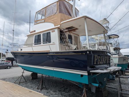 Sabre 36 Flybridge image