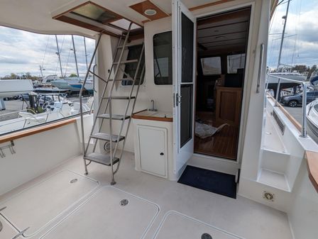 Sabre 36 Flybridge image