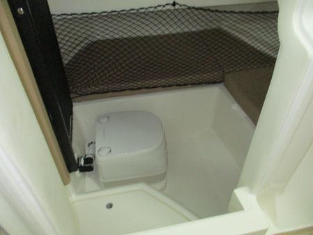 Sea Ray SDX 250 image