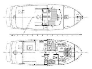 Seahorse CN44 image