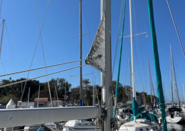 Beneteau 311 image