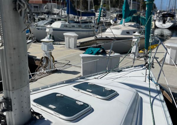 Beneteau 311 image