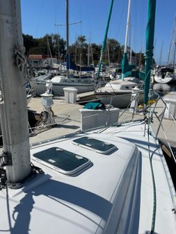 Beneteau 311 image