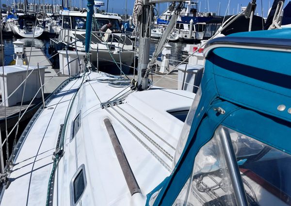 Beneteau 311 image