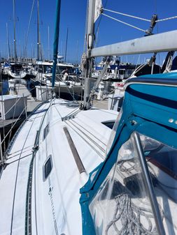 Beneteau 311 image