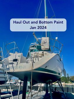 Beneteau 311 image