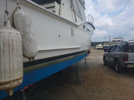 Hatteras Convertible image