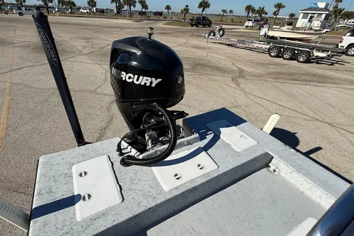 Shoalwater 21 Cat image