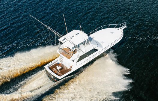 Viking 50 Conv Sport Fisher image