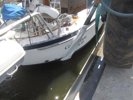 Tayana VANCOUVER-AFT-COCKPIT-CUTTER image