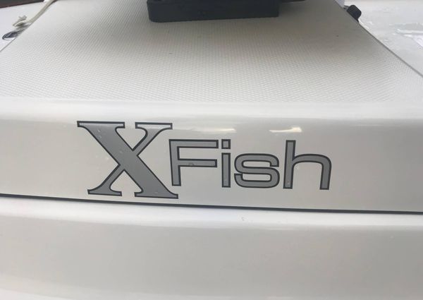 Custom RIGID-X-FISH image