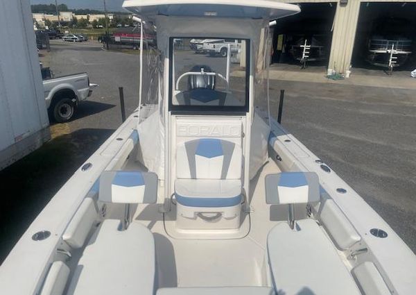 Robalo 246 Cayman image