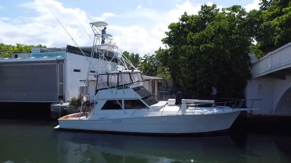 Viking 48 Convertible